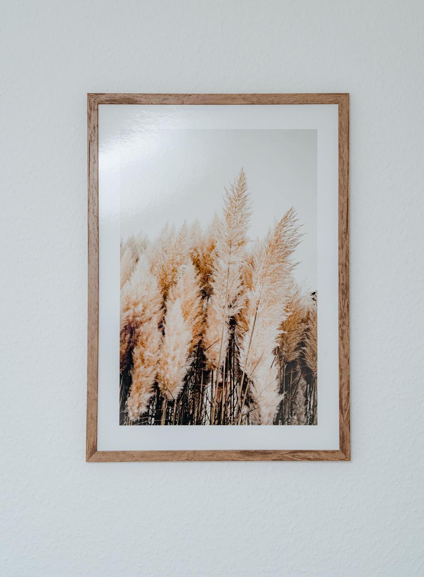Appartements Am Alten Loehrtor 科布倫茨 外观 照片